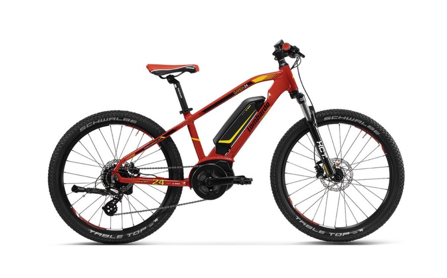 E-bike 24 pollici bambino